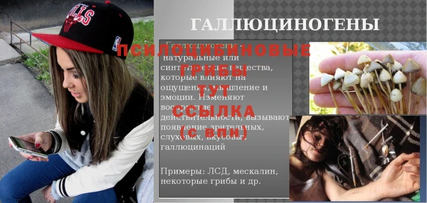 apvp Балахна