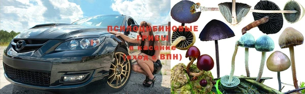 прущий лед Бутурлиновка