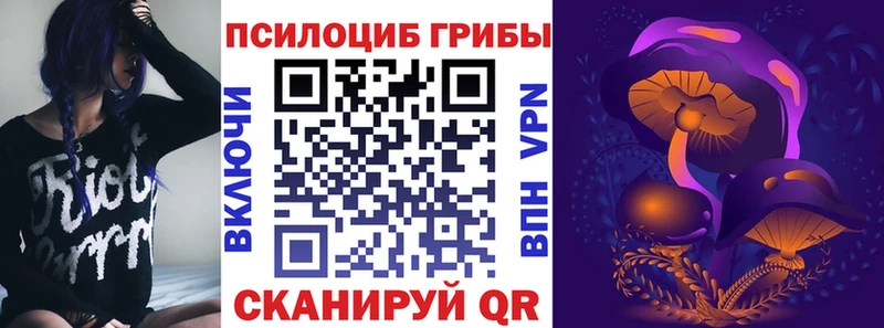 закладка  Благодарный  Галлюциногенные грибы MAGIC MUSHROOMS 